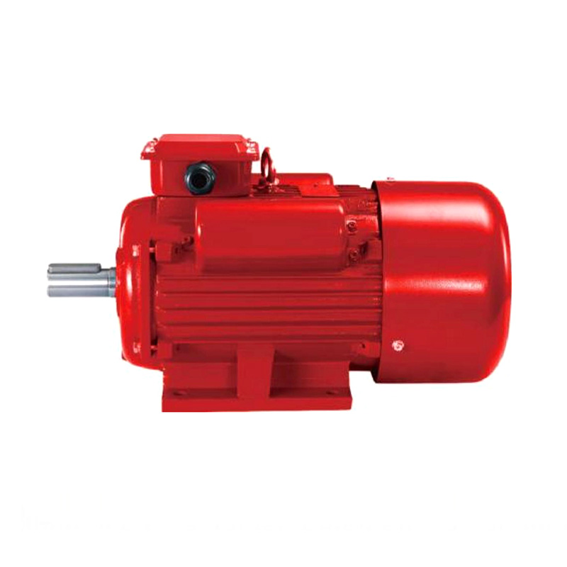 YCL Capacitor Start Induction Motor