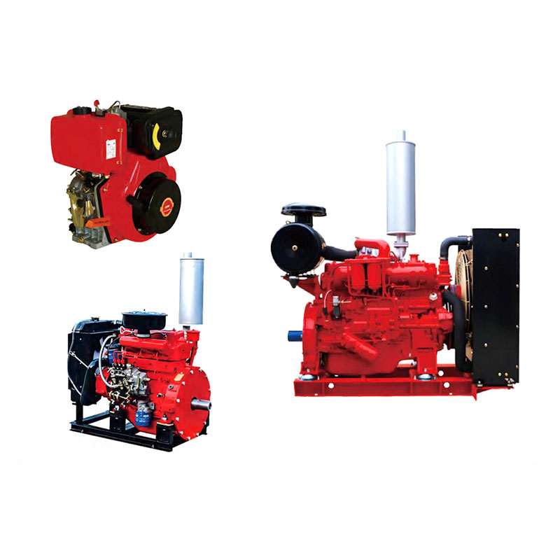 D Diesel Engine for Pump