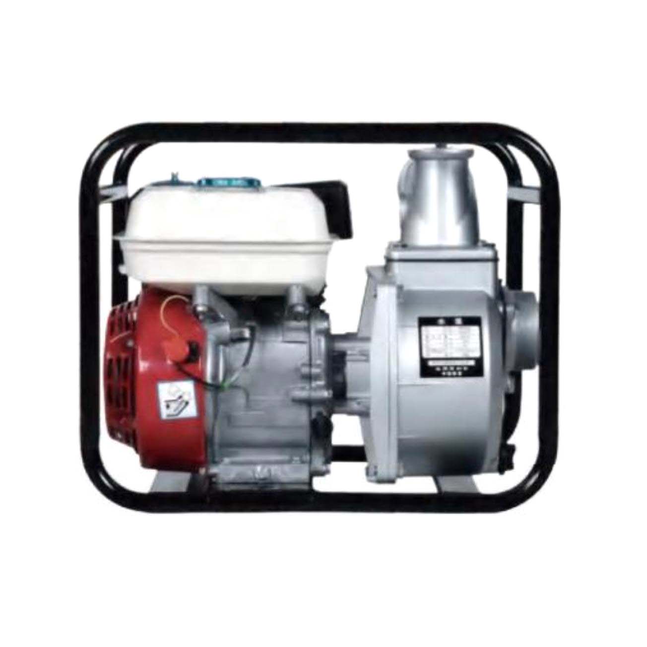 WP Portable Gasoline Pump