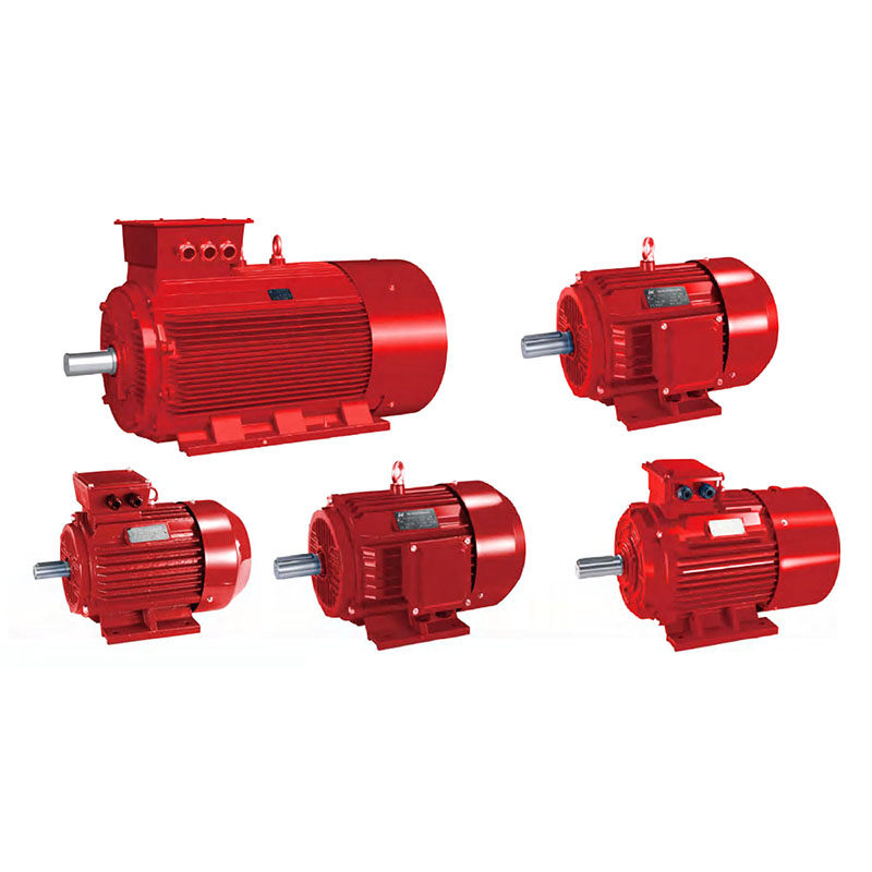 YE3/IE3 Three Phase Induction Motor