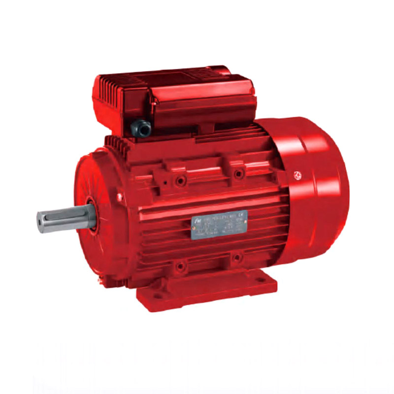 YL Two Value Capacitor Induction Motor