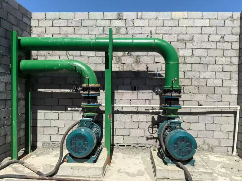 Customer Testimonial: ZEN High-Power Smart VFD Pump Conquers Desert Farm Irrigation